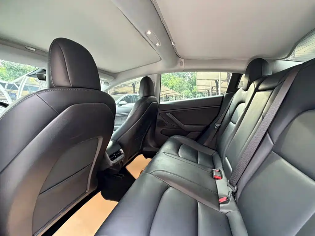 Tesla Model 3 (Import) 2019 2019 Long Range RWD Version