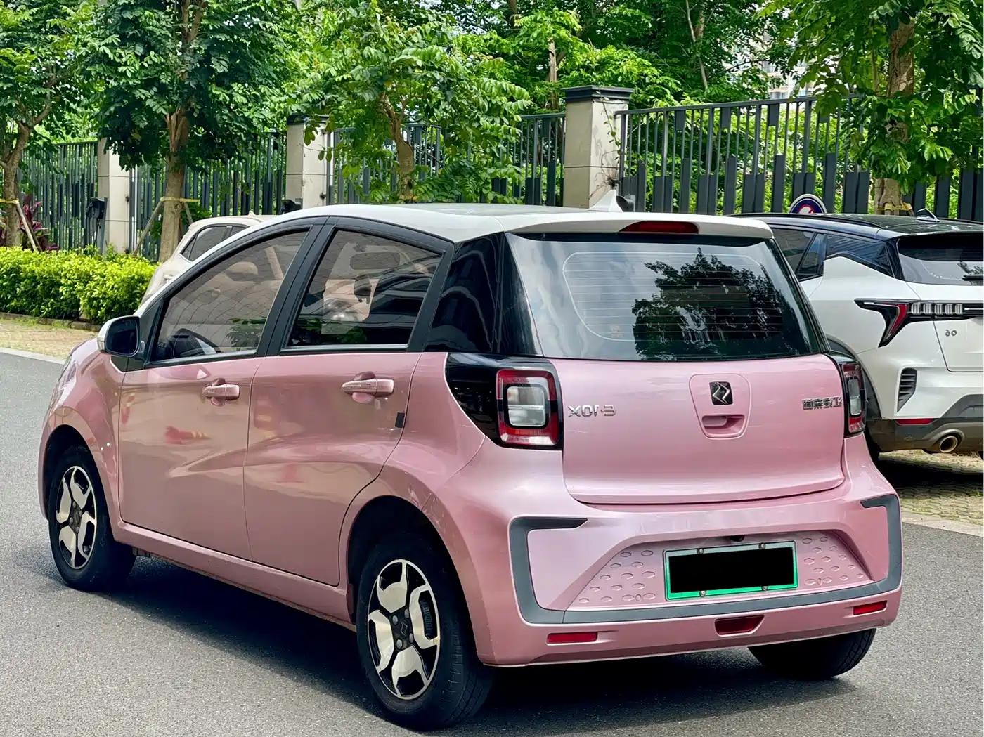 Sehol Flower Fairy 2021 2021 302km Luxury 30.2kWh