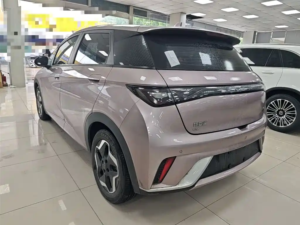 BYD Dolphin 2021 Model 405km Fashion Edition фото 5