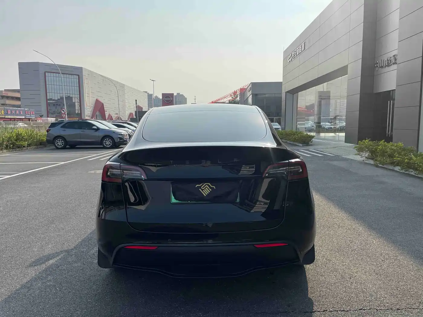 Tesla Model Y 2021 2022 Rear-Wheel Drive Version