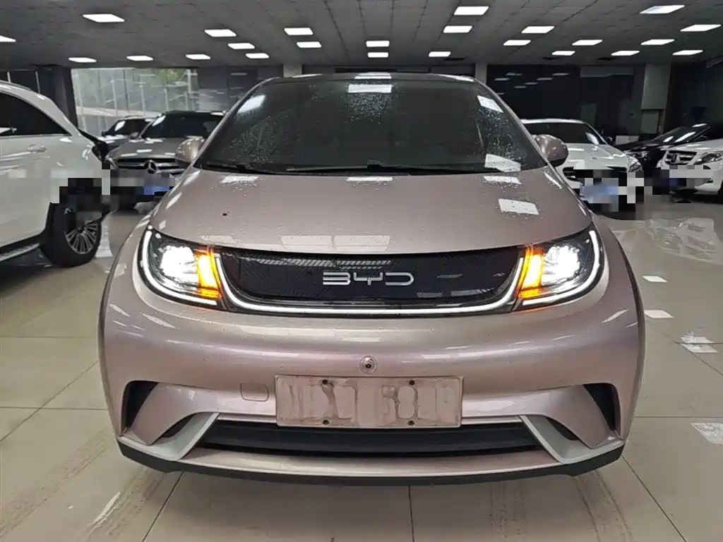 BYD Dolphin 2021 Model 405km Fashion Edition фото 3