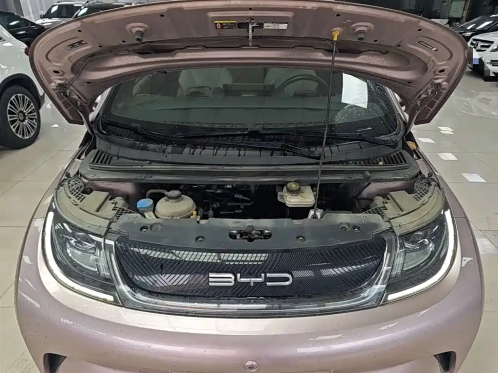 BYD Dolphin 2021 Model 405km Fashion Edition фото 20