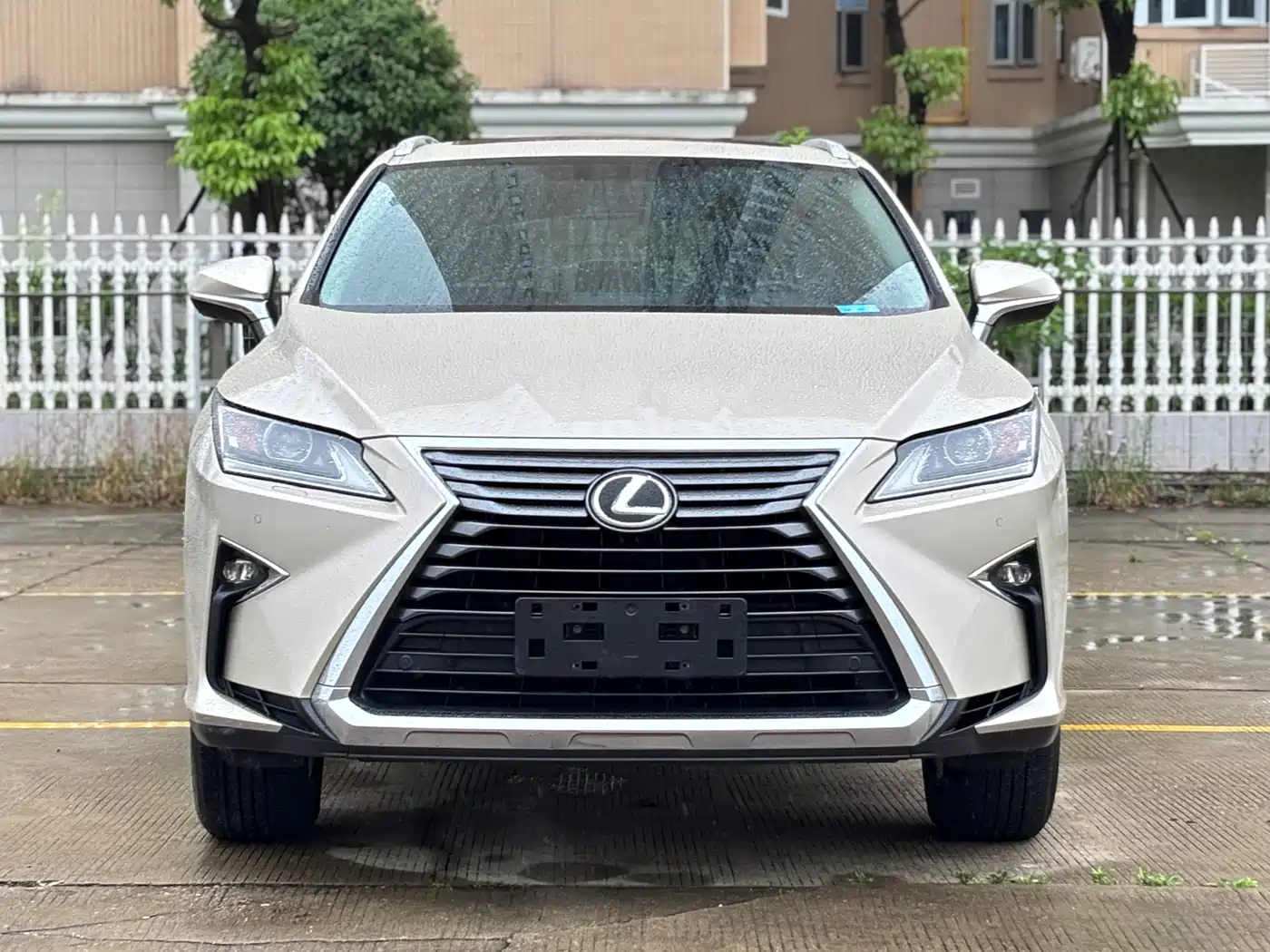 LEXUS RX