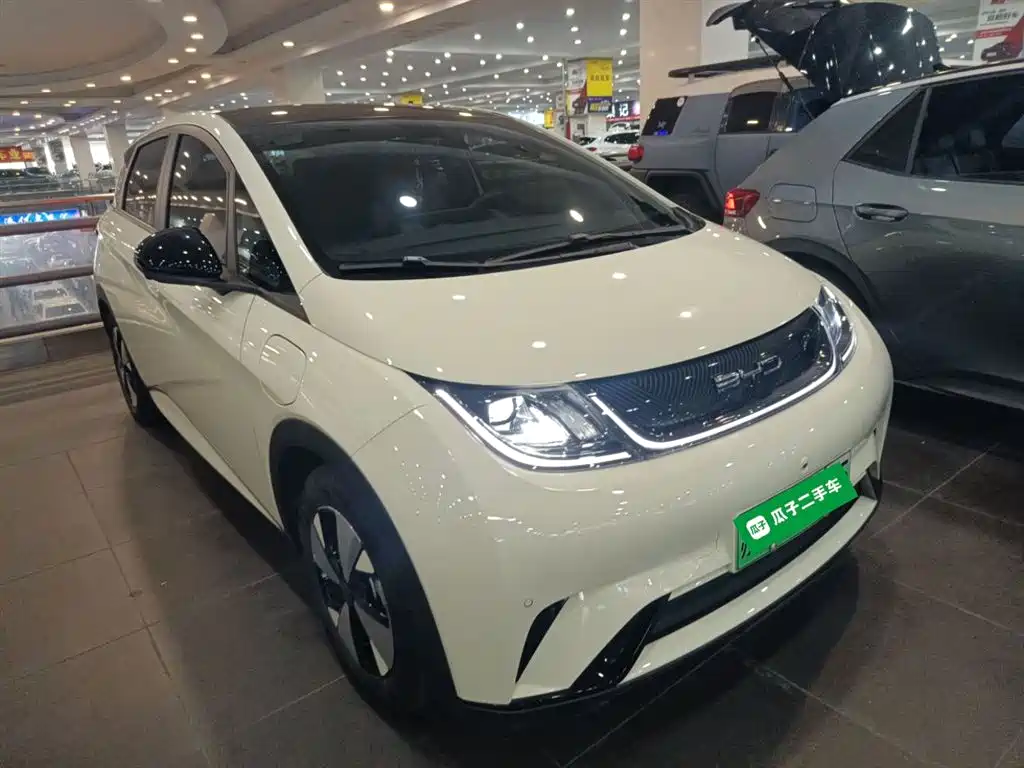 BYD Dolphin 2023 420km Fashion Edition фото 22