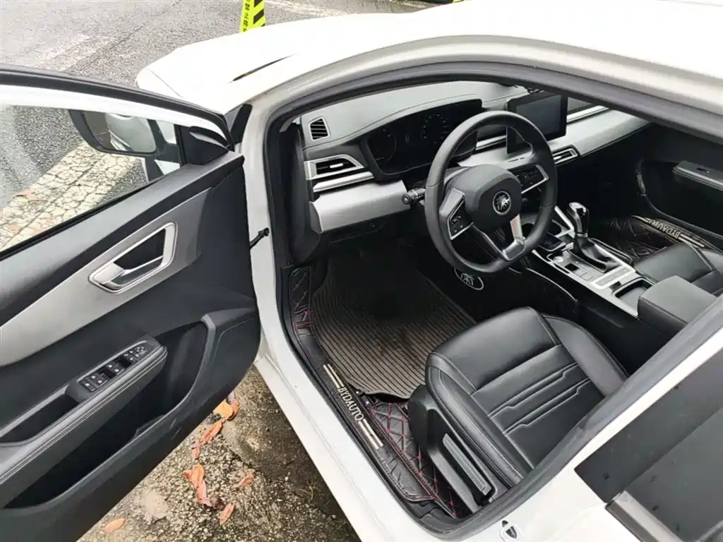 BYD Qin 2019 1.5L Automatic Luxury Edition фото 16