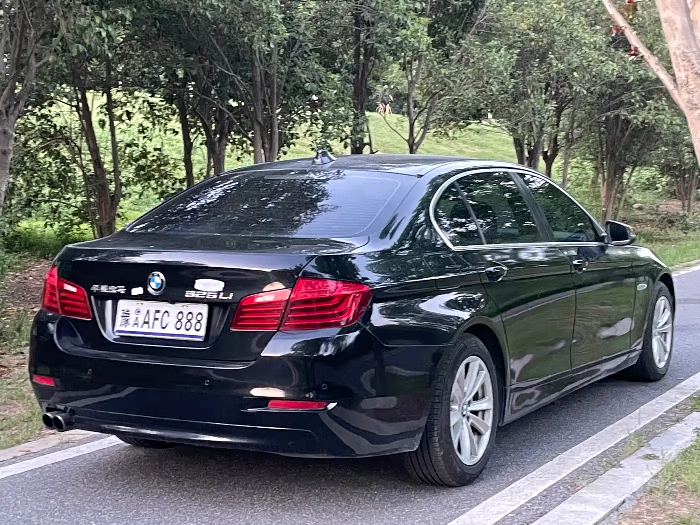 BMW 5 Series 2014 520Li Elegance фото 9