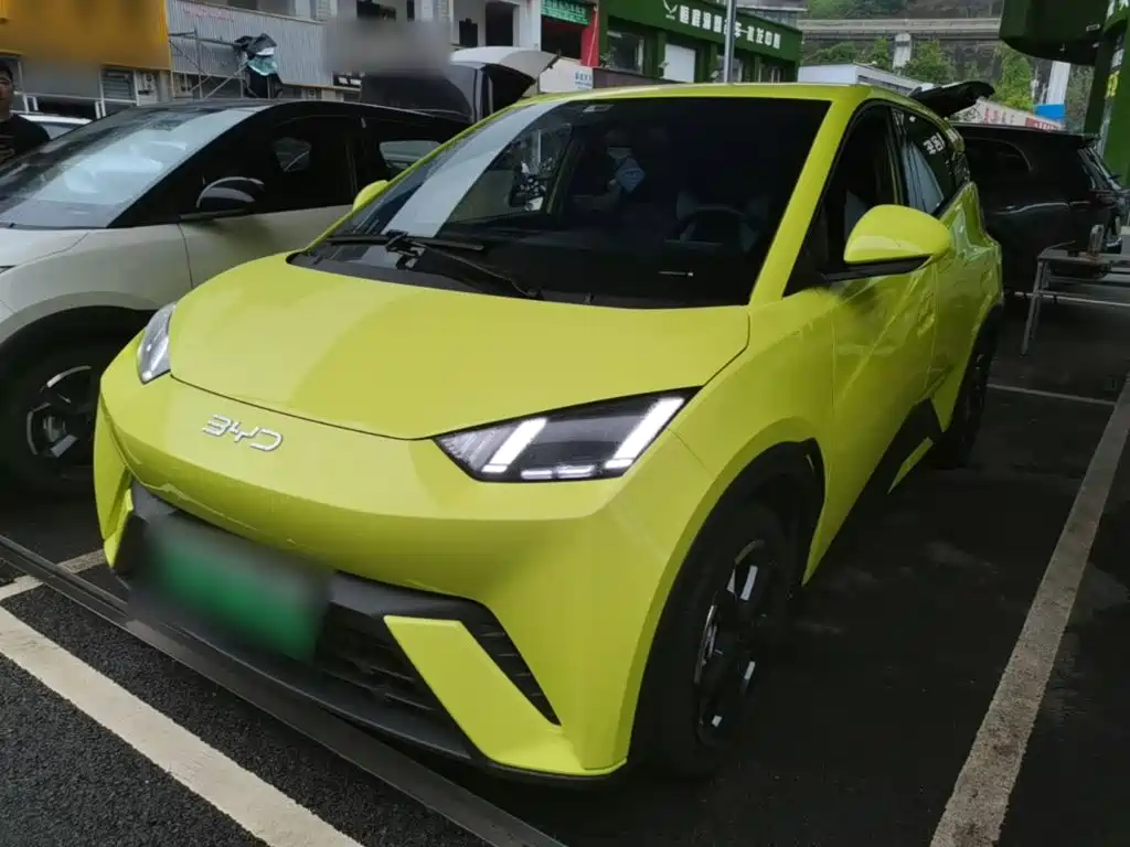 BYD Seagull 2024