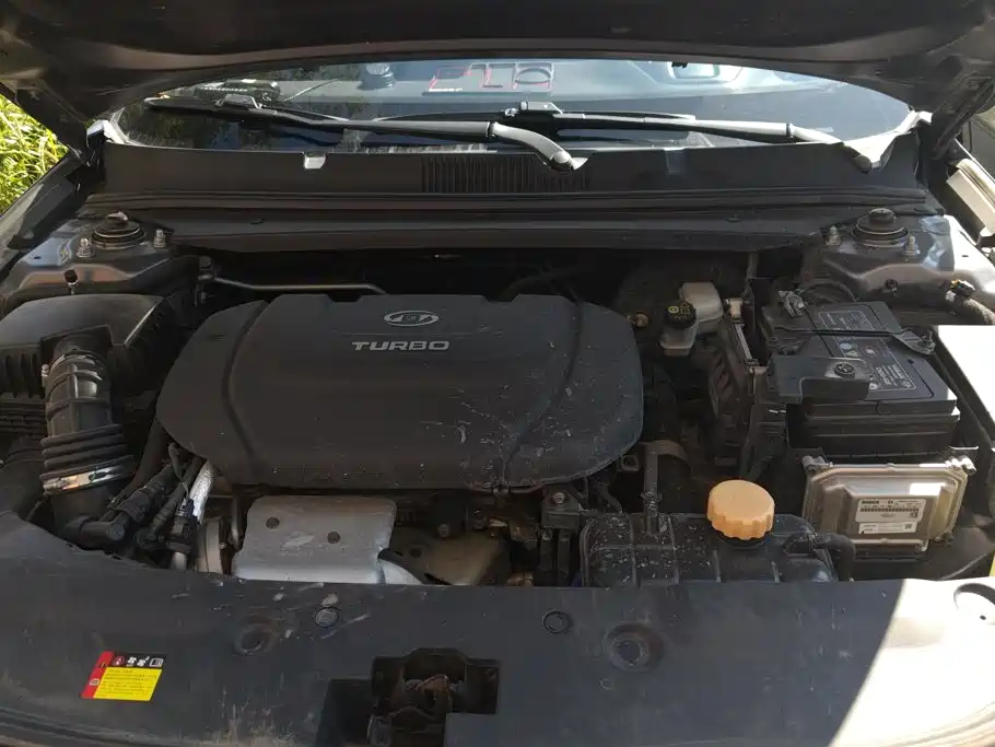 Baojun Valli 2022 2021 1.5T Yili Ranch CVT Luxury