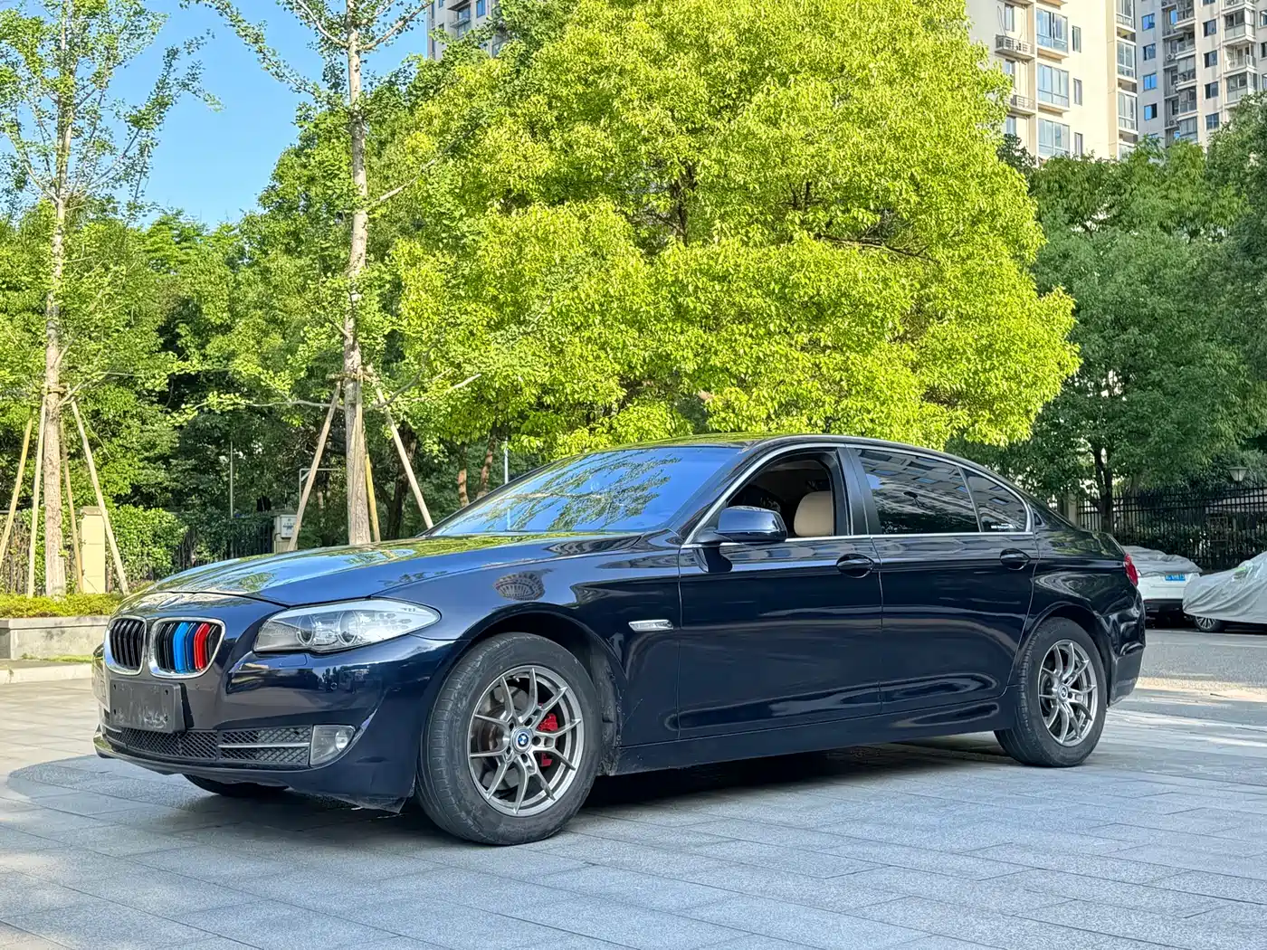 BMW 5 Series 2013 525Li Luxury фото 3