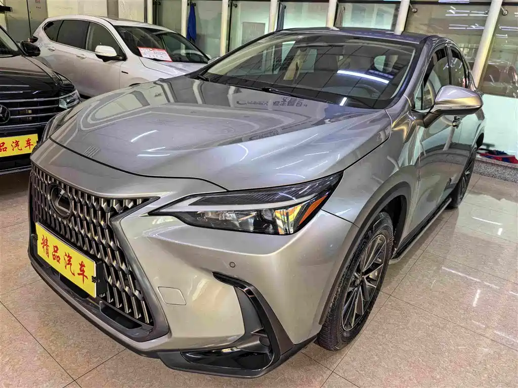Фото 1 - Lexus NX