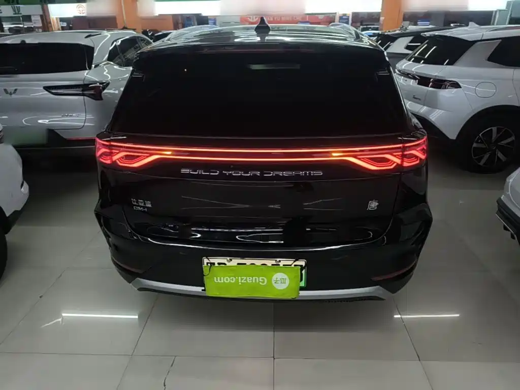 BYD Tang New Energy 2025 2025 DM-i 115KM Prestige Type