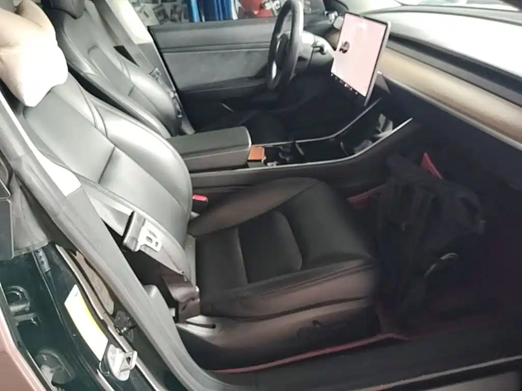 Tesla Model 3 2020 2020 Standard Range Rear-Wheel Drive Upgrade