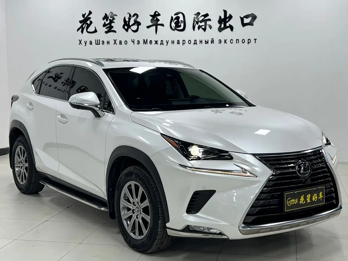 LEXUS NX