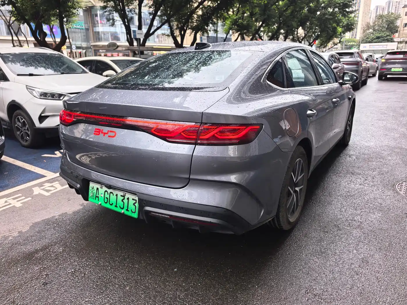 BYD QIN L