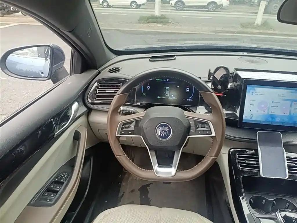 BYD Qin PLUS 2024 Glory Edition DM-i 55KM Leading фото 11