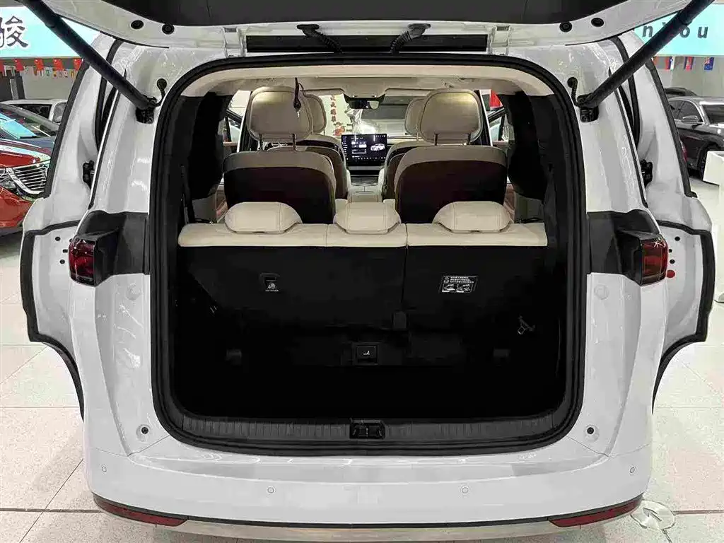 Фото 6 - BYD Xia