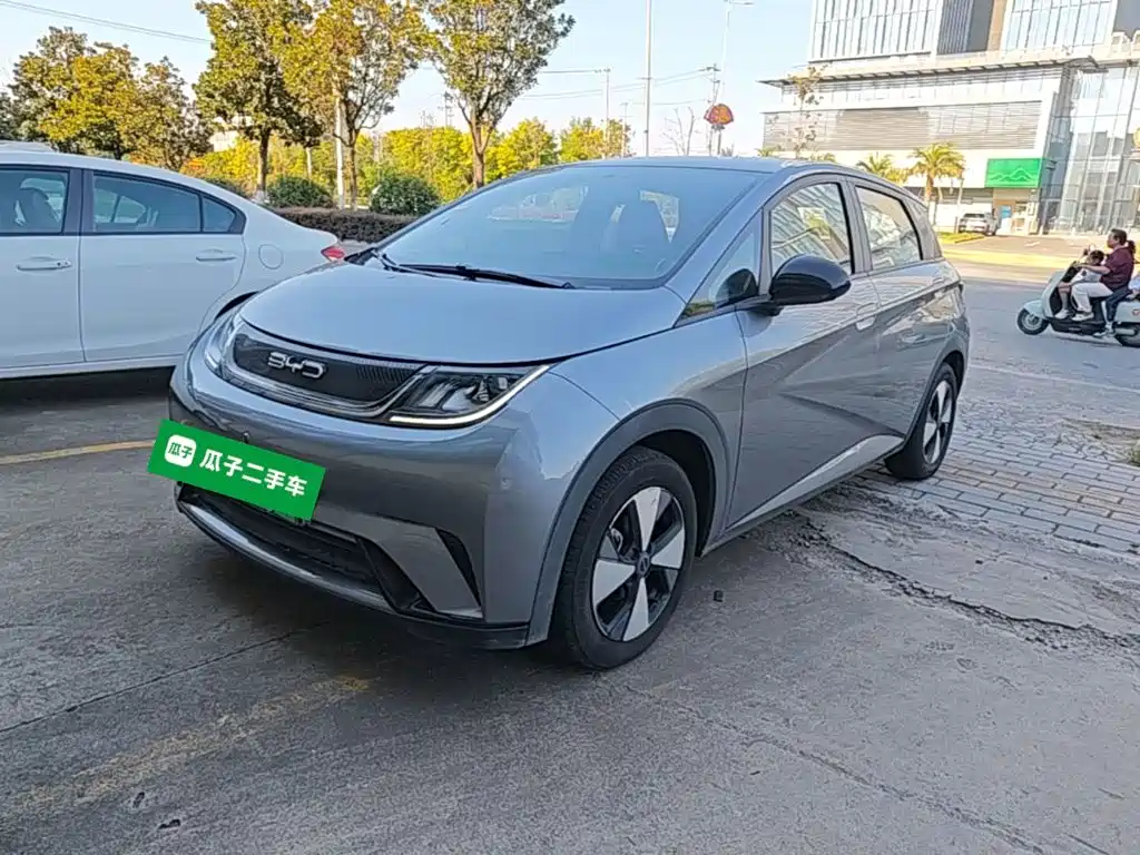 BYD Dolphin 2023 420km Freedom Edition