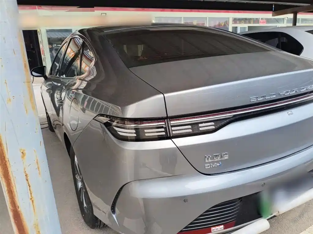 BYD Destroyer 05 2024 Glory Edition DM-i 55KM Luxury фото 5