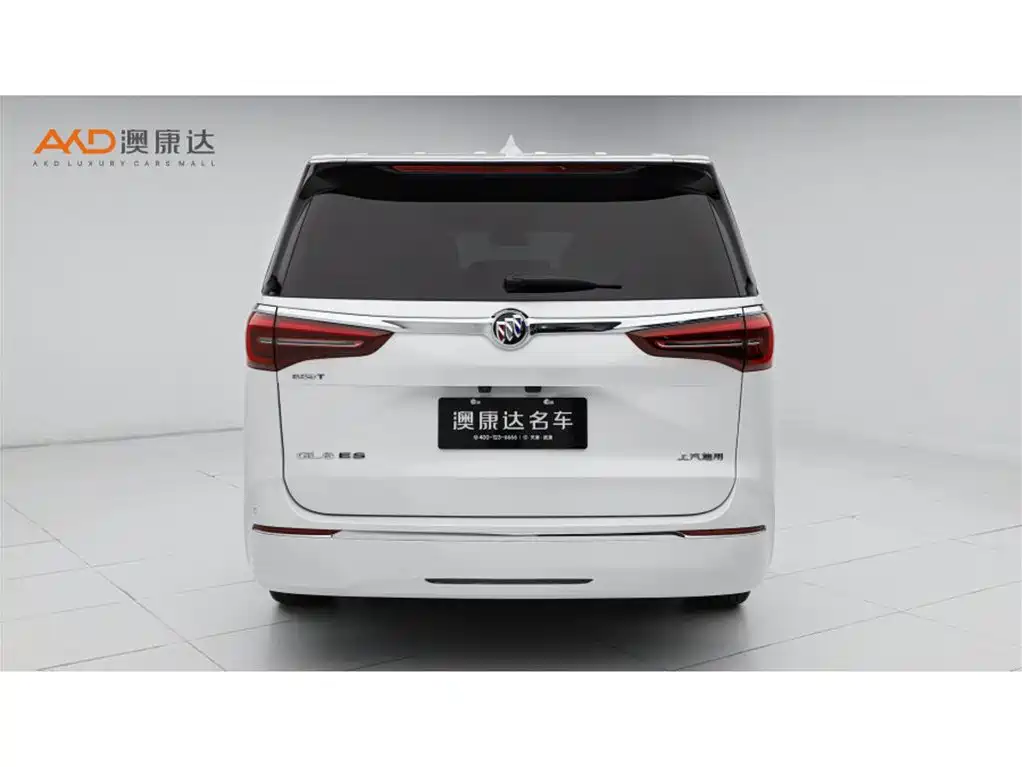 Buick GL8 2021 ES Landlord 653T Luxury фото 4