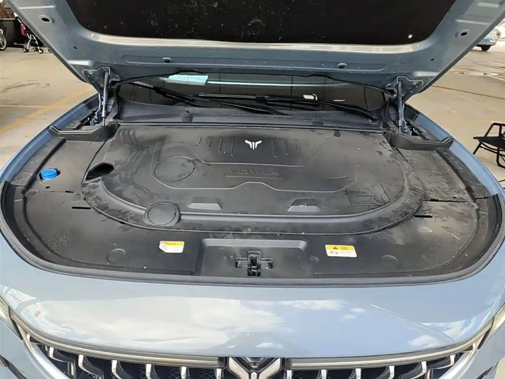Voyah Auto VOYAH FREE 2021 AWD Standard Range Extender Exclusive Luxury Package фото 20