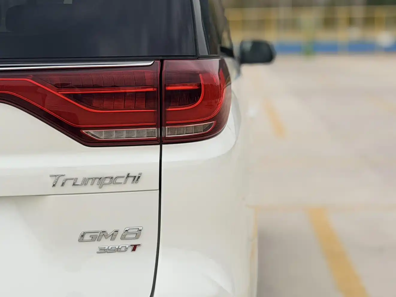 GAC Trumpchi Trumpchi M8 2020 Pilot 390T Premium Edition фото 26