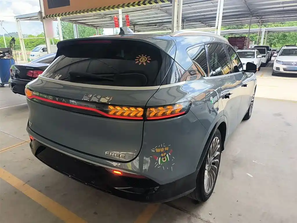 Voyah Auto VOYAH FREE 2021 AWD Standard Range Extender Exclusive Luxury Package фото 7