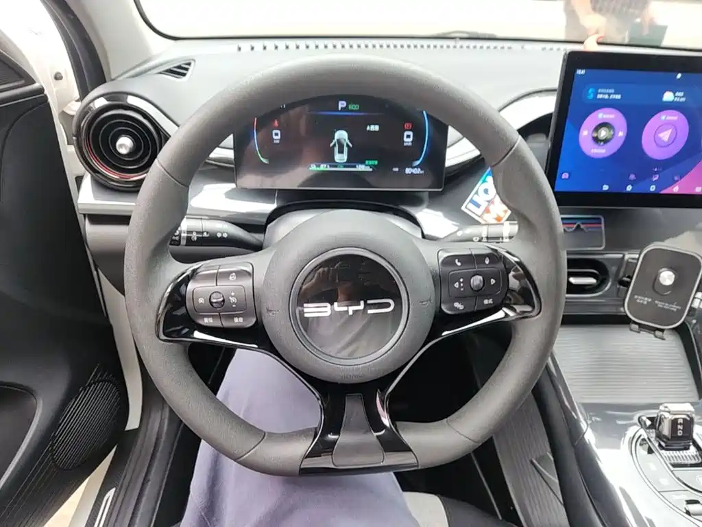 BYD e2 2023 2023 Comfort Model