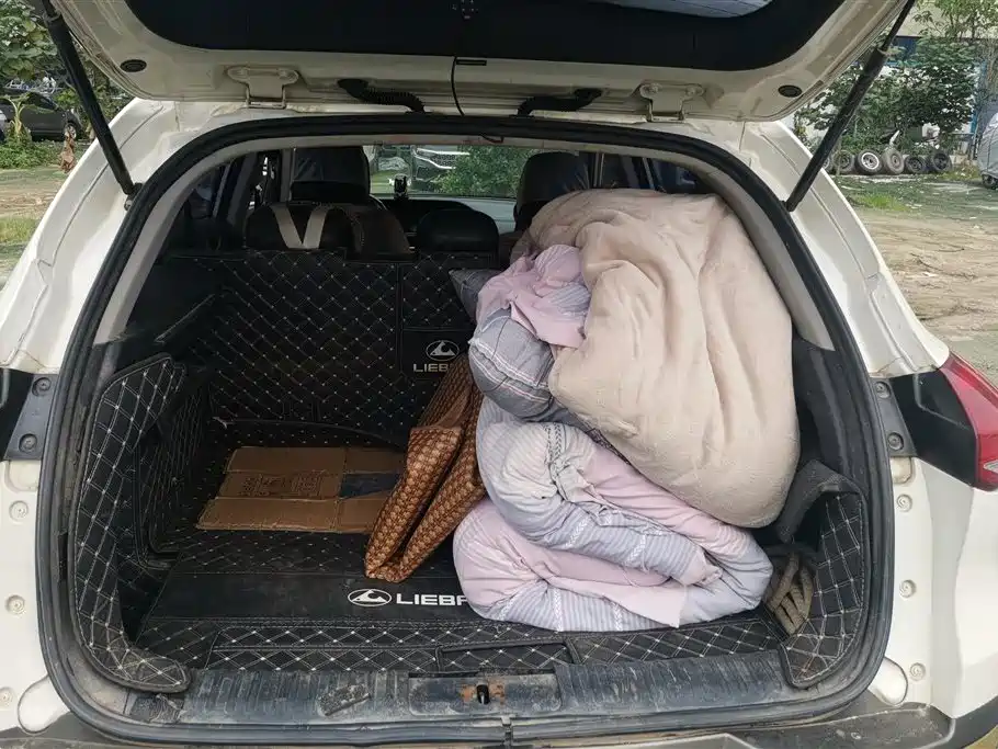 CHEETAH CARS CHEETAH CS10