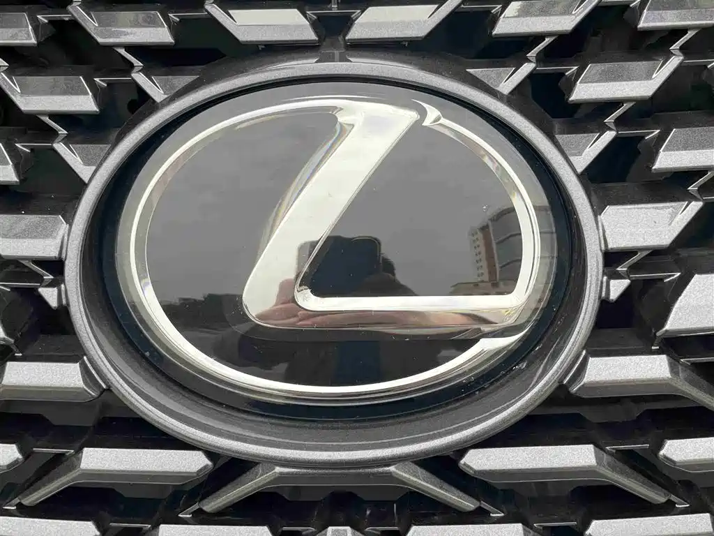 Lexus RX 2020 Facelift 300 AWD Elegance Edition фото 26