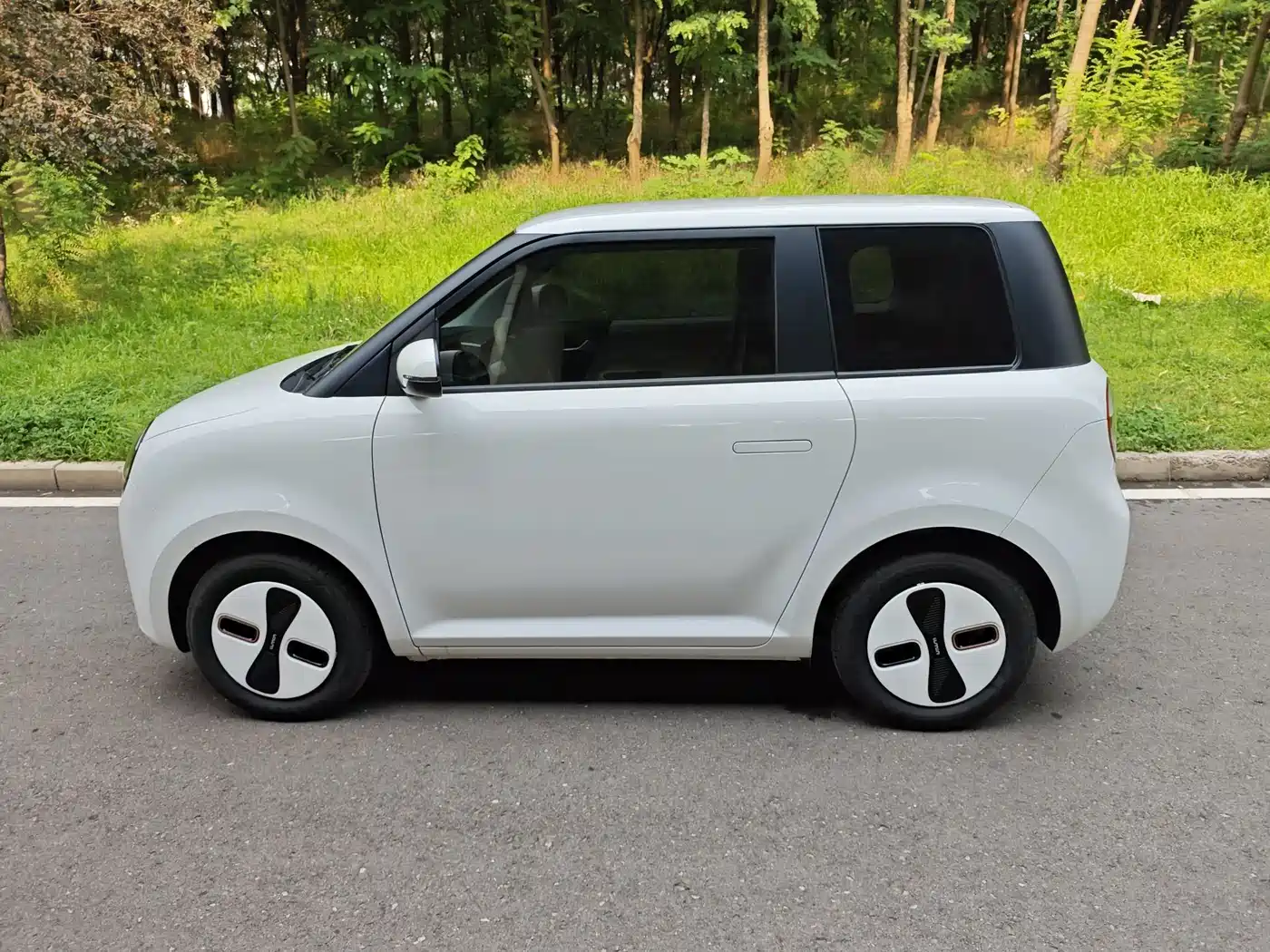 Changan Lumin 2026 2026 301km Treasure Edition