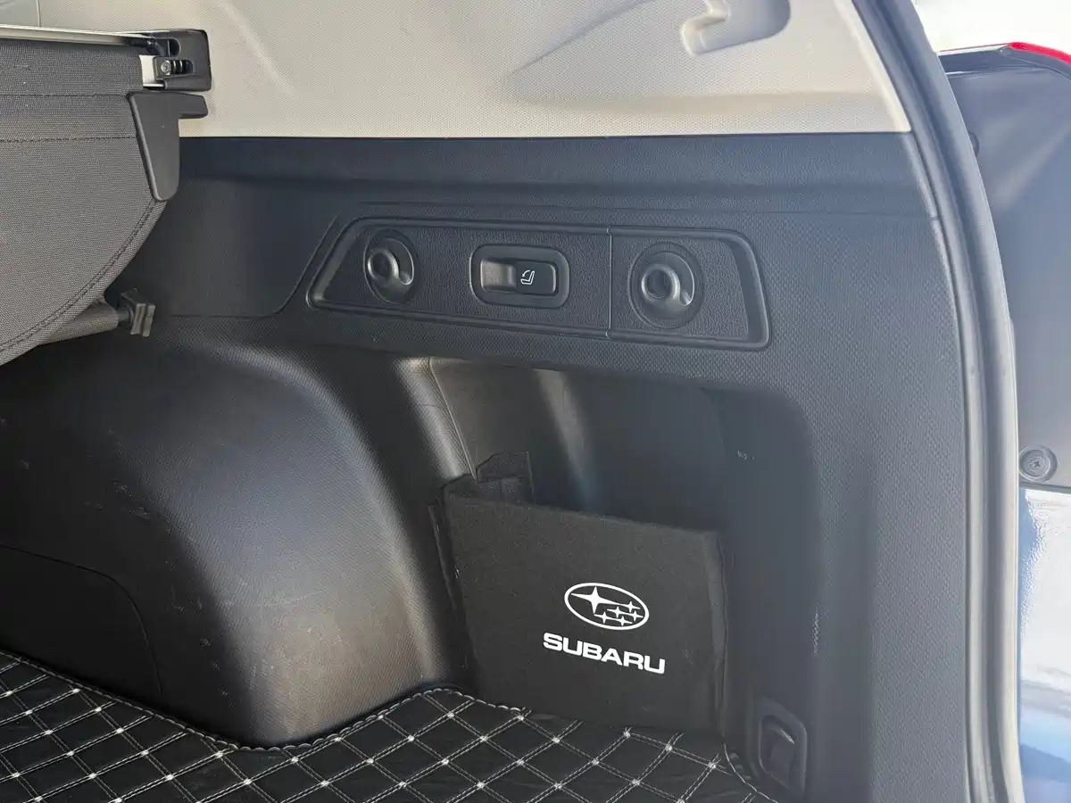 Subaru Forester 2022 2.0i AWD Luxury Edition фото 8