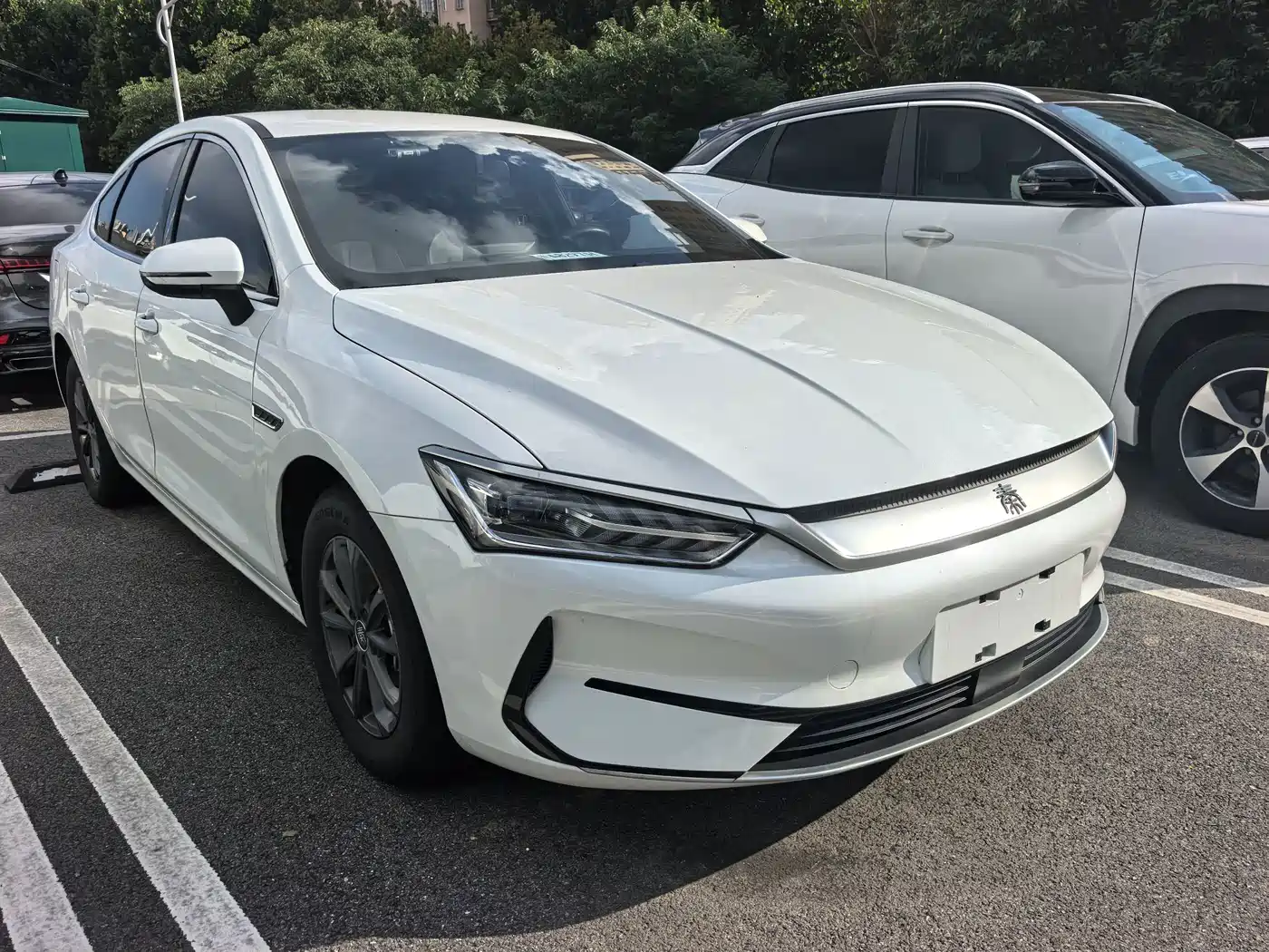 Фото 3 - BYD Qin PLUS