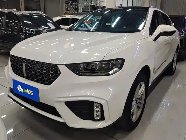 wei-pai wei-brand-vv5