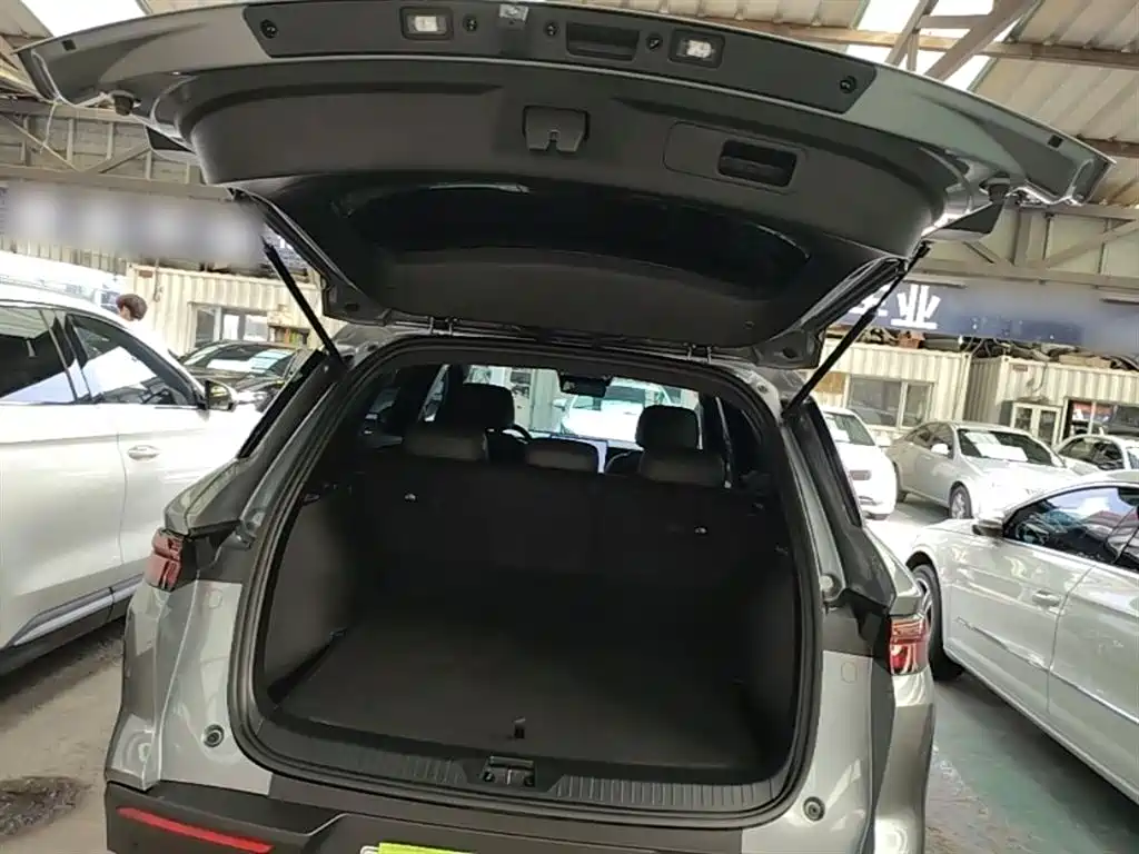 BYD SONGJIANG NEW ENERGY