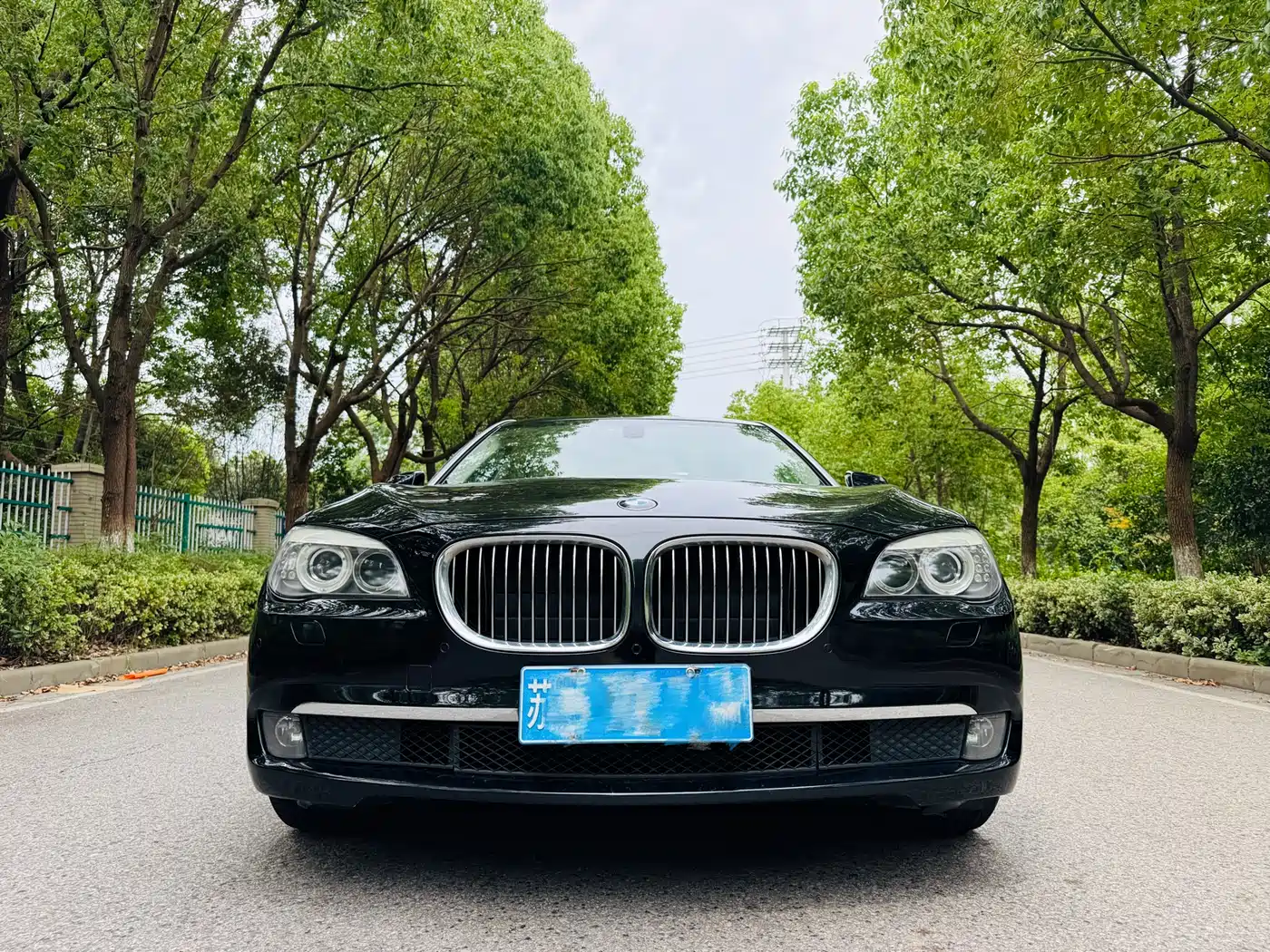 BMW 7 Series 2011 730Li Elegance фото 2