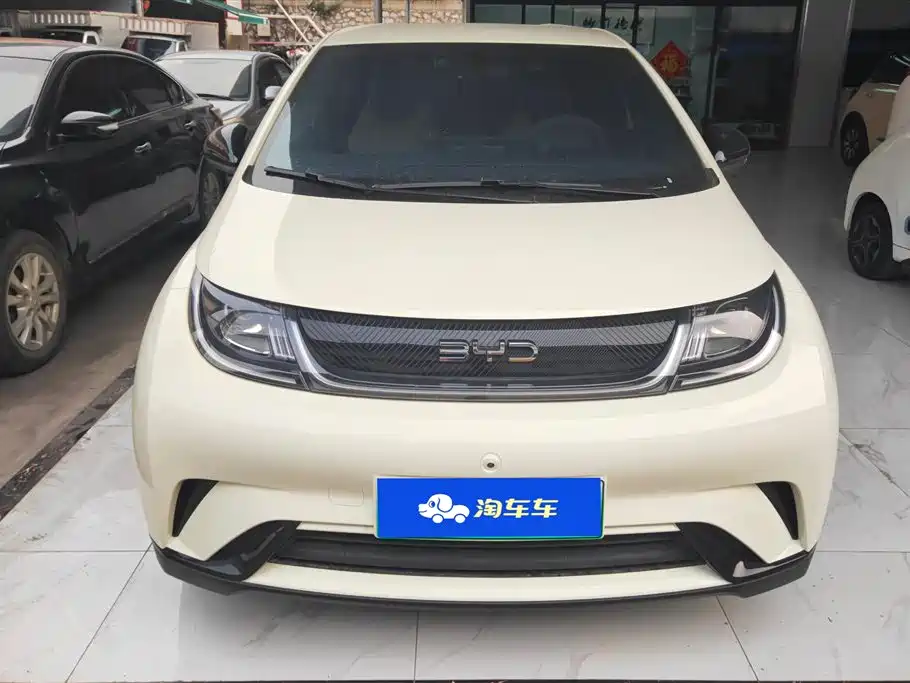 BYD DOLPHIN