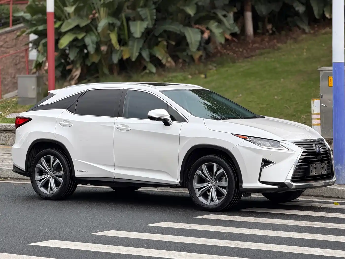 LEXUS RX