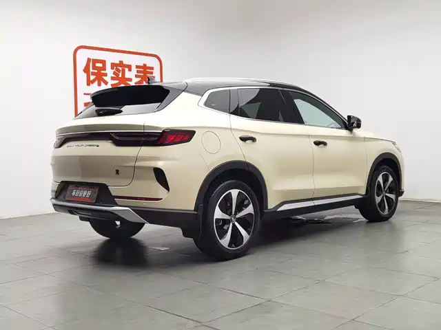 BYD Song PLUS PHEV 2021 DM-i 110KM Flagship — фото 2