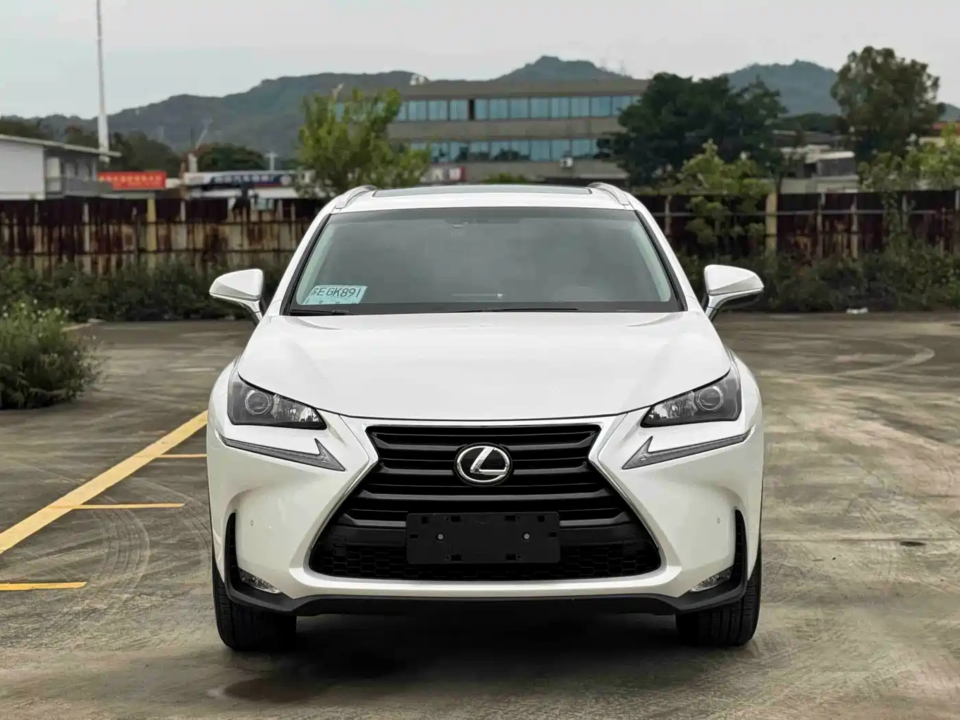 Lexus NX 2016 200 AWD F Sport фото 2