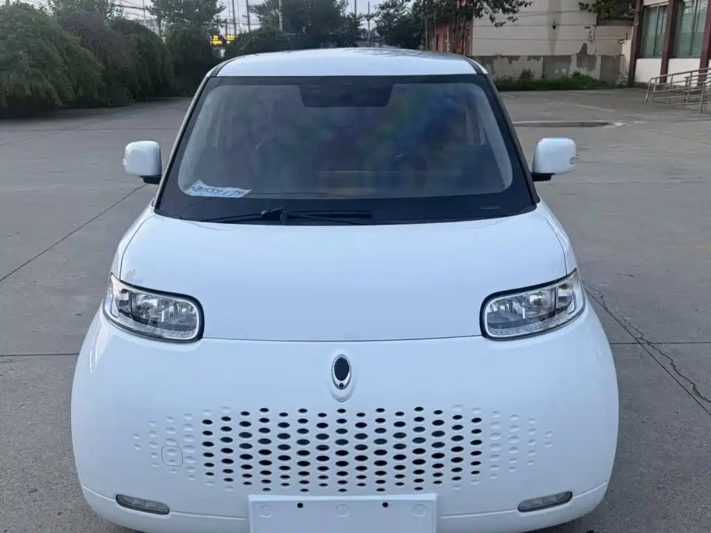 Ora White Cat 2021 2020 305km Luxury