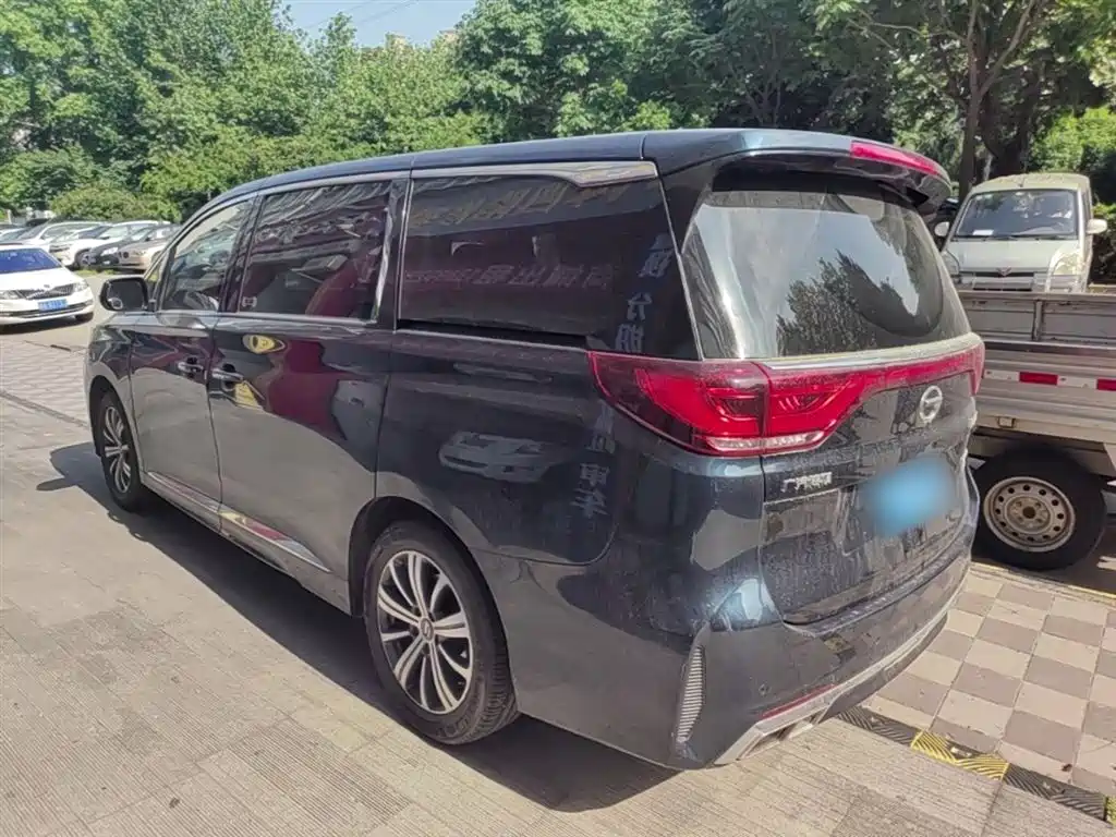 GAC Trumpchi Trumpchi M8 2020 Pilot 390T Prestige Edition фото 5