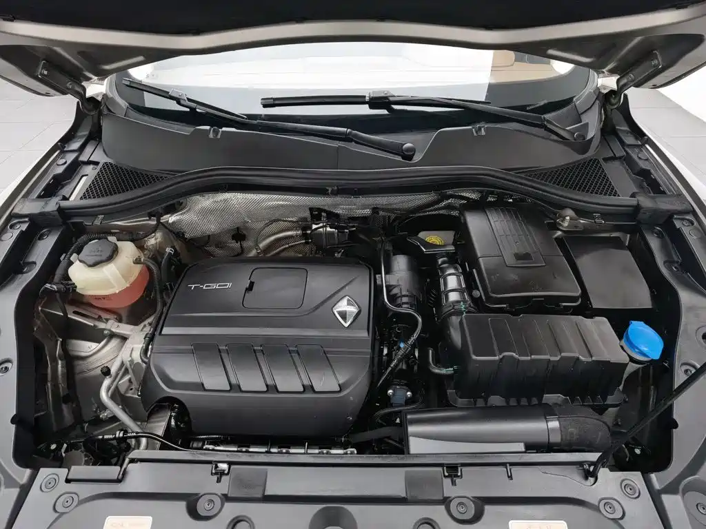 Borgward BX5 2021 2020 20TGDI Automatic 2WD Pioneer Edition