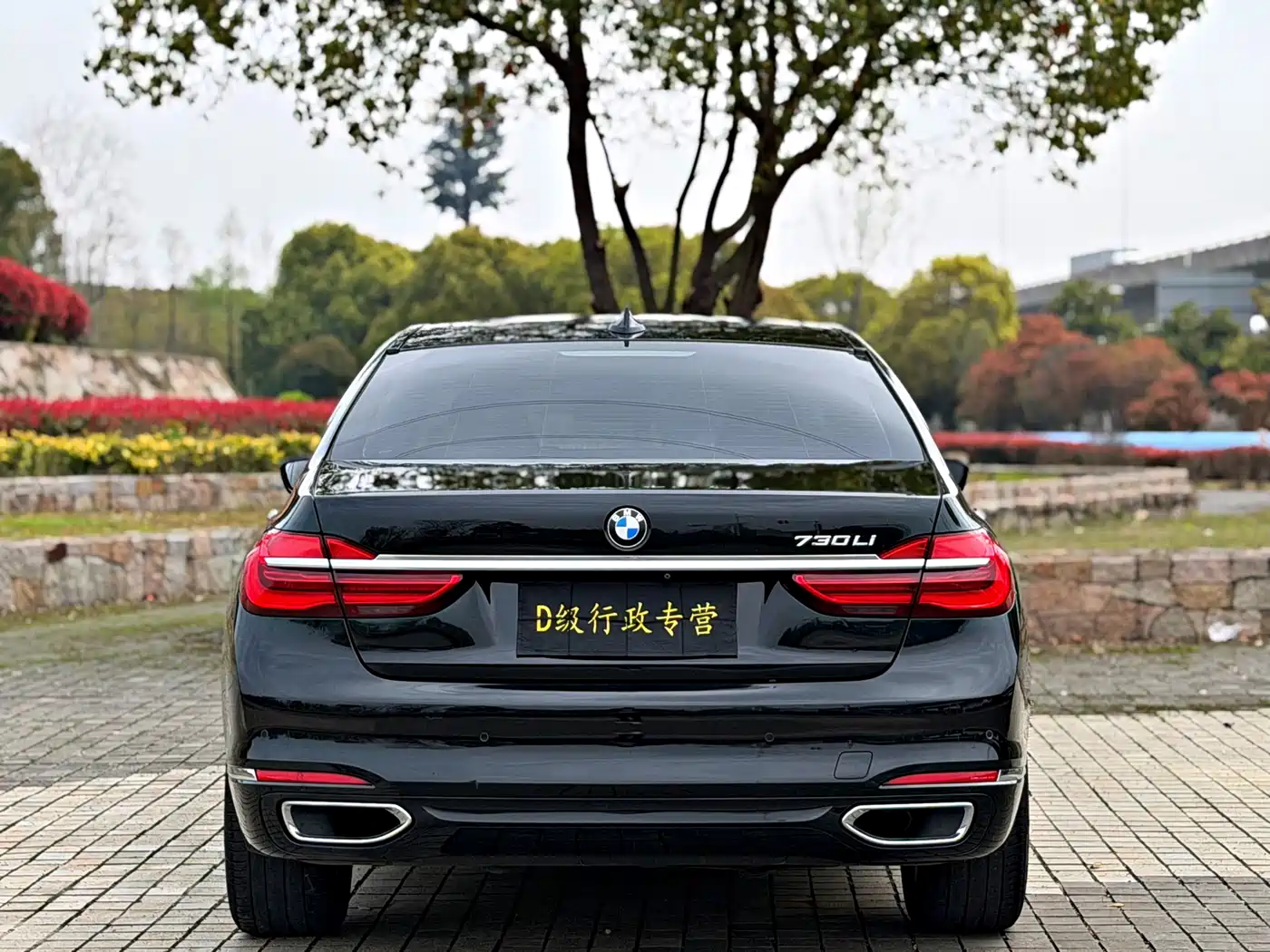 BMW 7 Series 2016 730Li Luxury фото 20