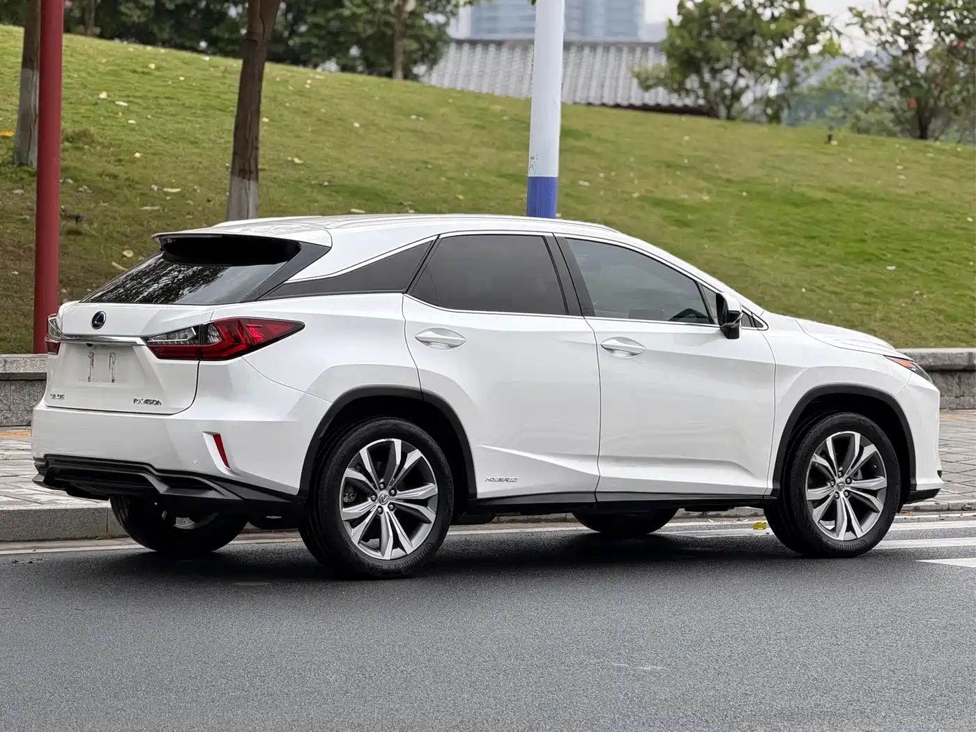 LEXUS RX