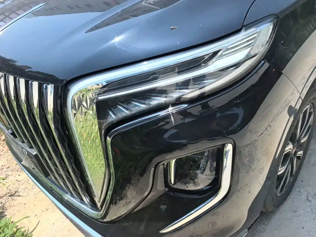 Hongqi HQ9 2023 2023 2.0T Smart Connect Flag Enjoy Edition