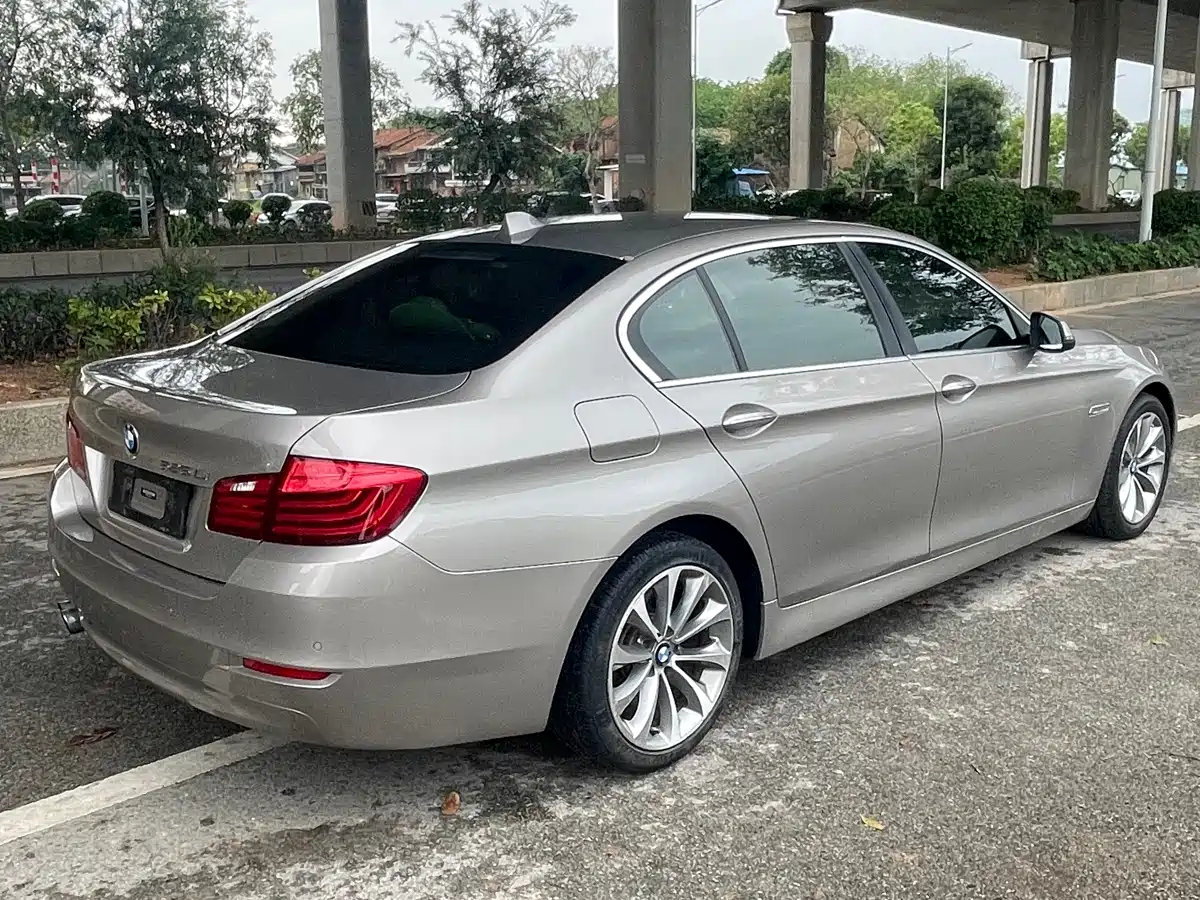 BMW 5 Series 2017 525Li Leading Edition фото 11