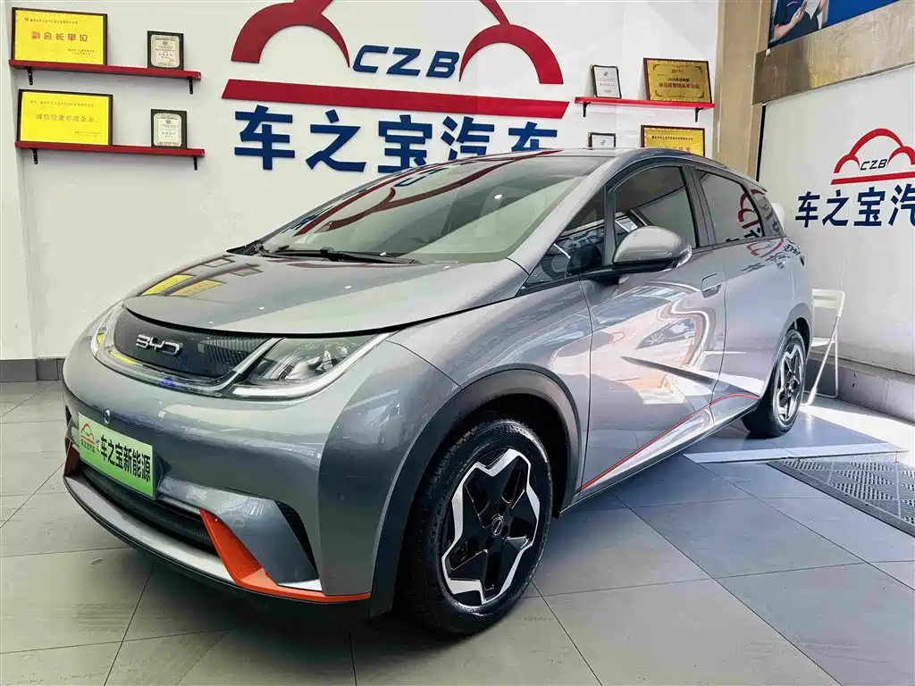 BYD Dolphin 2021 Model 405km Fashion Edition