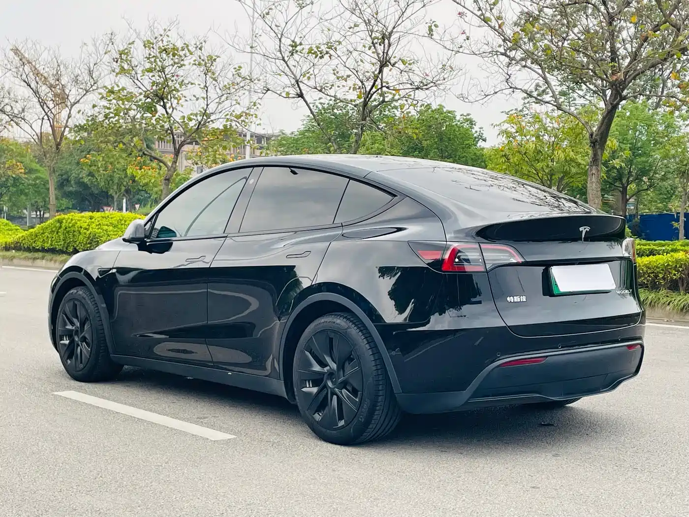 TESLA MODEL Y