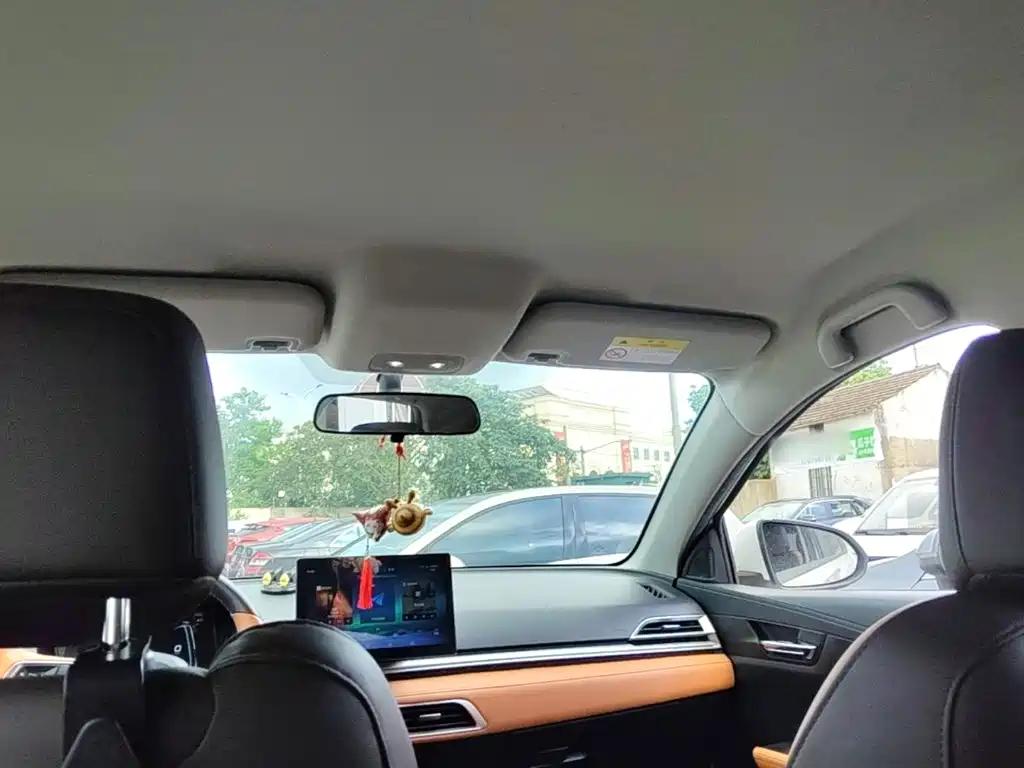 BYD e2 2022 2021 Luxury Edition