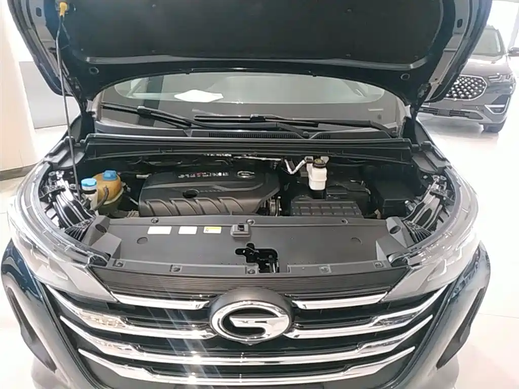 GAC Trumpchi Trumpchi M6 2019 270T DCT Prestige Edition (7-seater) (China VI) фото 20
